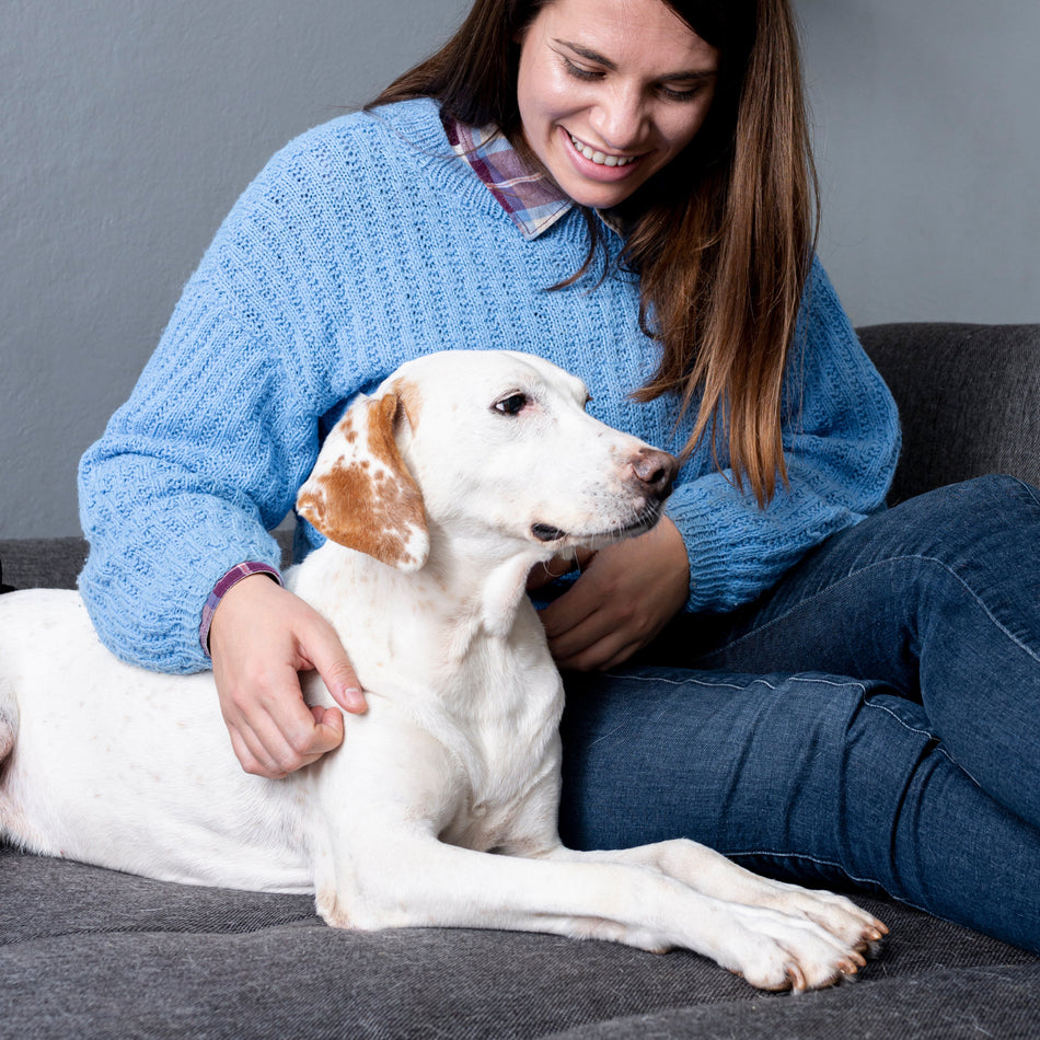 Pet Care